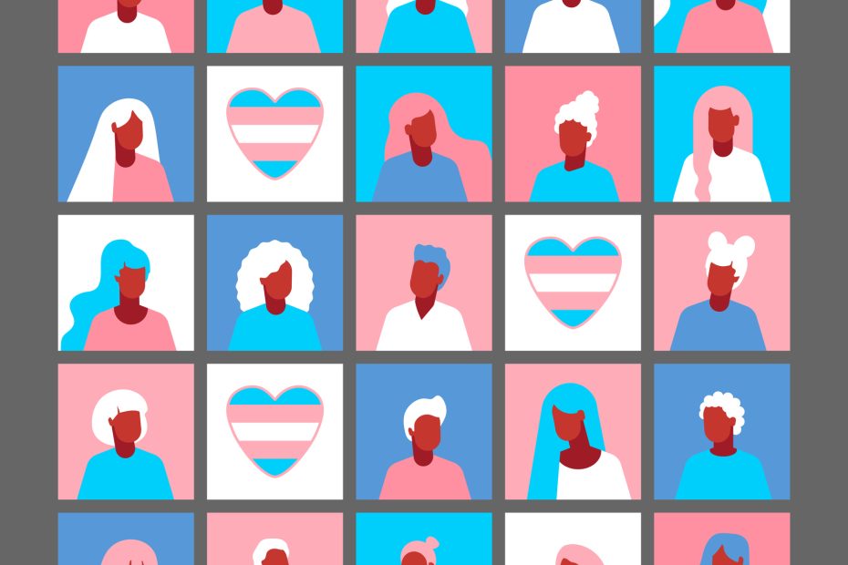 Various squares in pink white and blue depict vector images of individual silhouettes and hearts with trans flag.